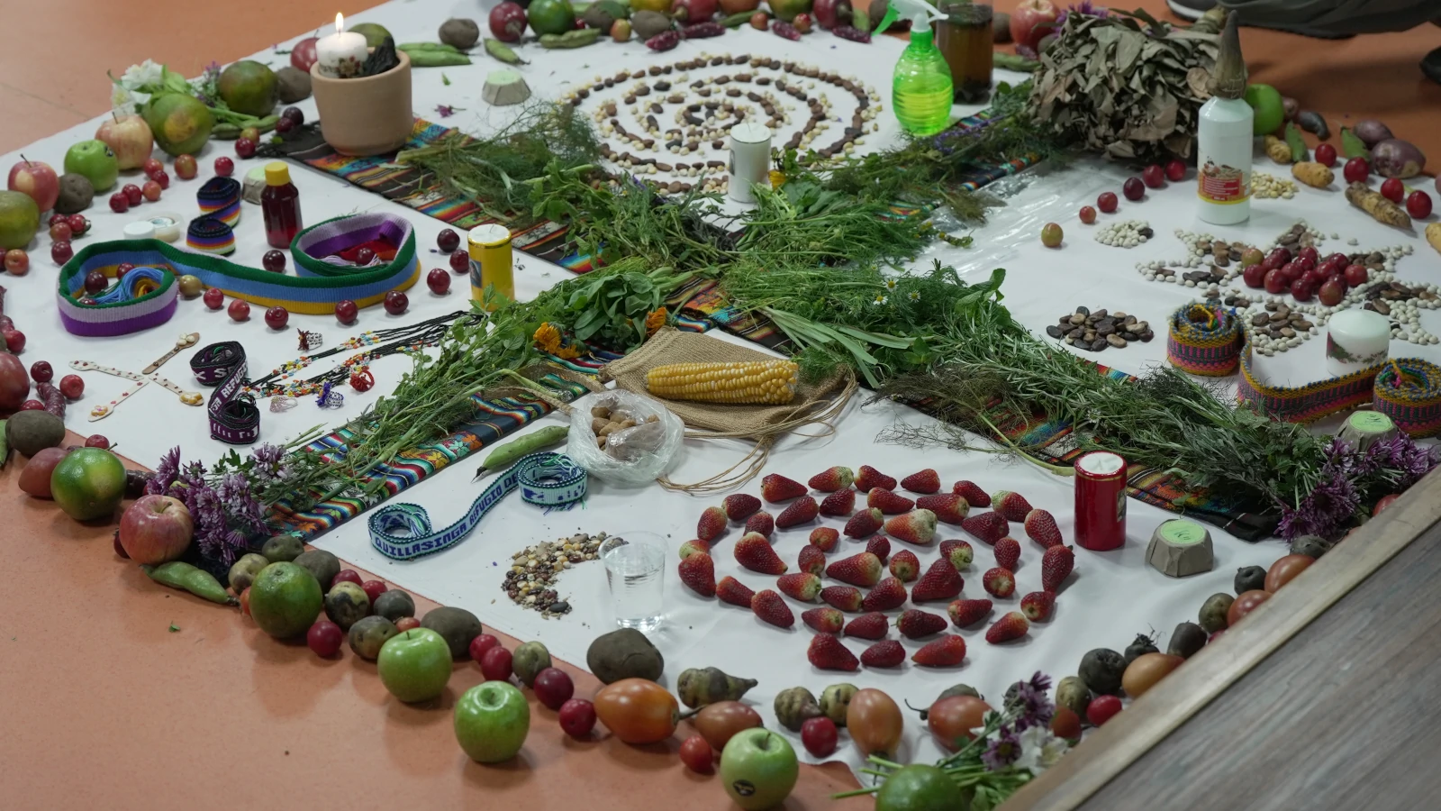 Personas del Instituto en Tunja